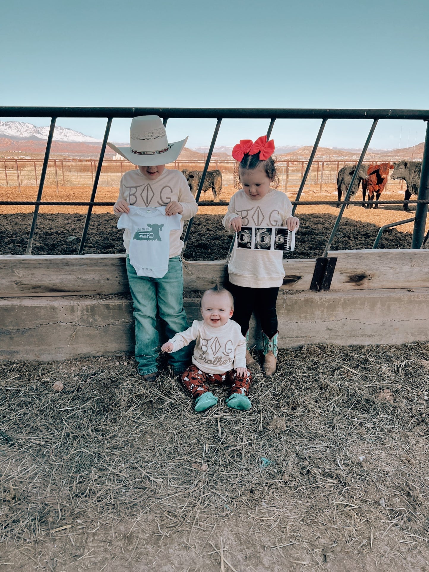 Big/Little Brother & Sister Crewnecks